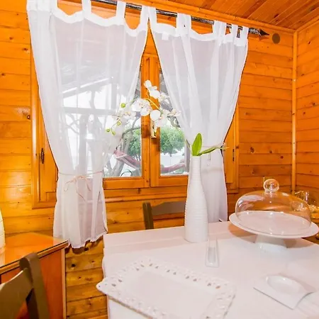 Liza's Seaside House *